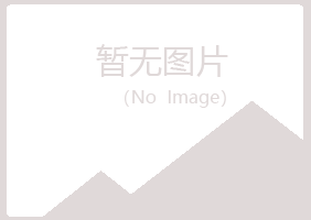 临夏南松律师有限公司